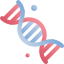 DNA icon