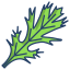 Mizuna Leaf icon