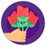 Roses icon