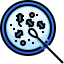 Bacteria icon