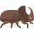 Rhinoceros Beetle icon