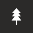 Fir icon