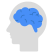 Brain icon