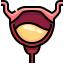 Bladder icon