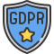 Gdpr icon