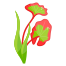 Underwater Plant icon