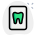 Dentist teeth report isolated on a white background icon