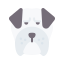 牛头犬 icon