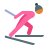 Cross Country Skiing Skin Type 3 icon