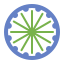 Ashoka Chakra icon