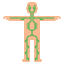 Lymphatic Vessel icon