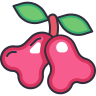 Rose Apple icon