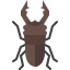 Stag Beetle icon