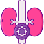 Endocrinology icon