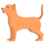 Chihuahua icon