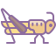 Locust icon