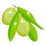 Olives icon