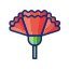 Carnation icon