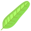 Banana Leaf icon