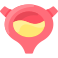 Bladder icon