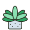 Green icon