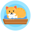 Pet Bed icon