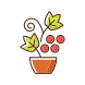 Berry Shrubs And Vines icon