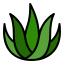 Aloe Vera icon