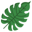 Palm Leaf icon