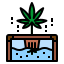 Hydroponic icon