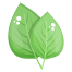 Leaves icon