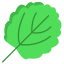 Aspen Leaf icon