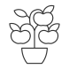 Fruit Trees Shrubs icon