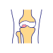 Knee Joint icon