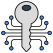 Encrypted Key icon