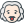 Albert Einstein icon