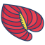 Anthurium icon