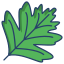 Hawthorn Leaf icon