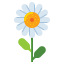 Daisy icon