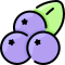 Blueberry icon