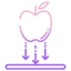 Apple icon