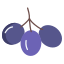 Olives icon