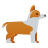 柯基犬 icon