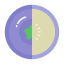 Blueberry icon