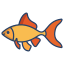 Tetra Goldfish icon