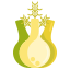 Fennel icon