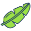 Banana Leaf icon