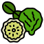 Bergamot icon