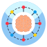 Brain Network icon