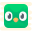 Duolingo Logo icon